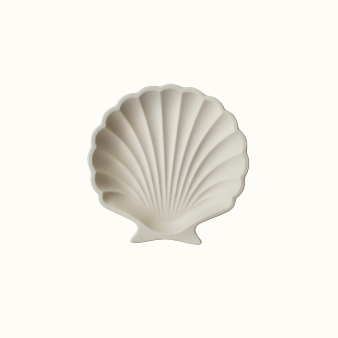 Shell Trinket Dish / Pearl